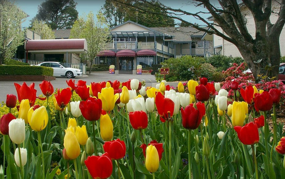 Nesuto Leura Gardens Hotell Eksteriør bilde