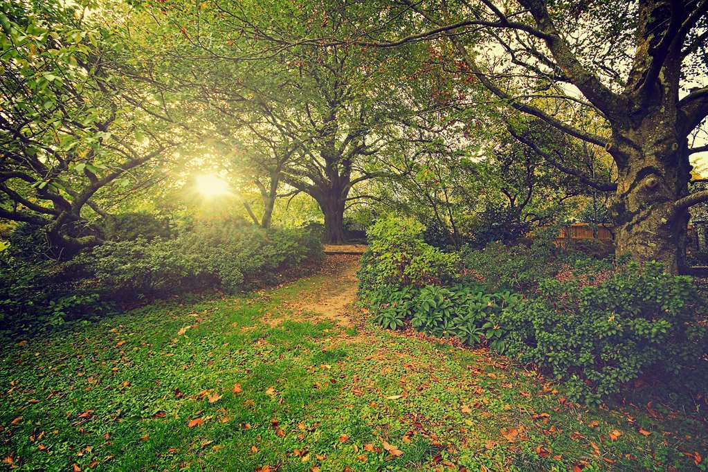 Nesuto Leura Gardens Hotell Eksteriør bilde