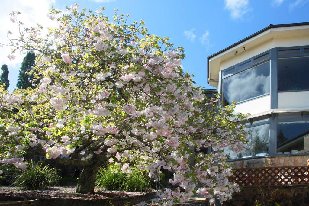 Nesuto Leura Gardens Hotell Eksteriør bilde