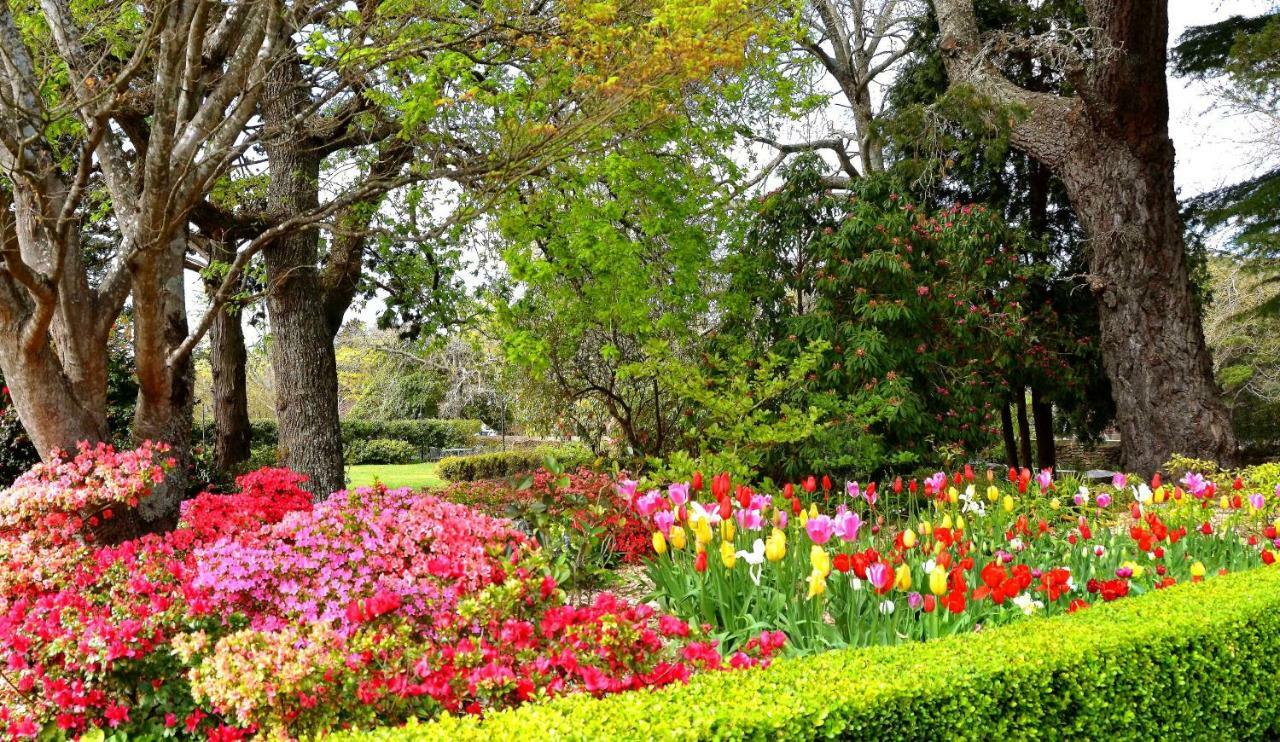 Nesuto Leura Gardens Hotell Eksteriør bilde